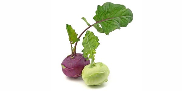 Kohlrabies for dogs and cats
