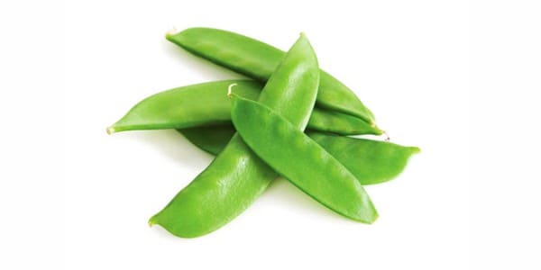 Mangetouts for dogs and cats