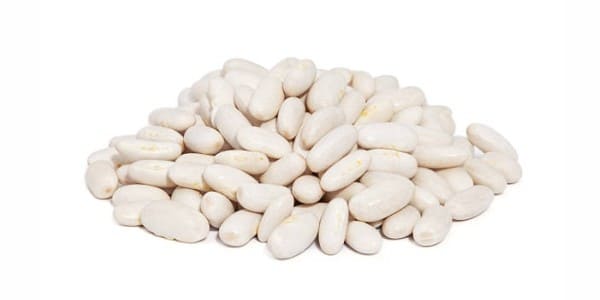 Navy beans for dogs and cats