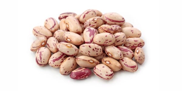 Pinto beans for dogs and cats
