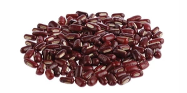 Red beans for dogs and cats