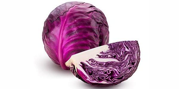 Red cabbages for dogs and cats