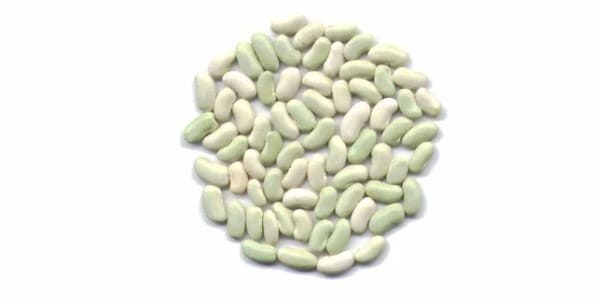 Flageolet beans for dogs and cats