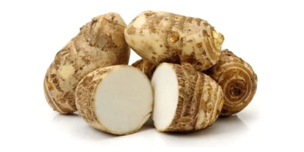 Eddoes for dogs and cats