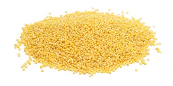 Millets for dogs and cats