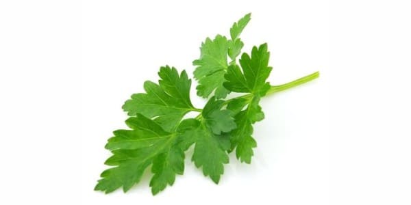 Parsleys for dogs and cats