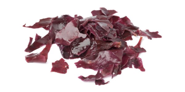 Dulses for dogs and cats