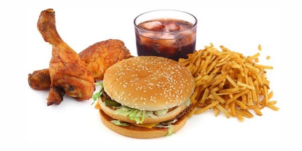 Fast food (burgers, hamburgers, cheeseburgers, etc.) for dogs and cats