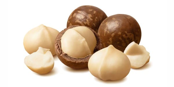 Macadamias for dogs and cats