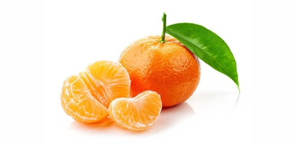 Mandarine oranges for dogs and cats