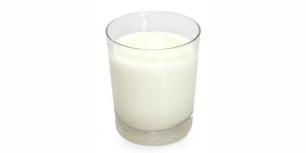 Milk from sheep for dogs and cats