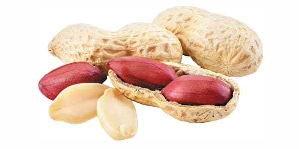 Peanuts for dogs and cats