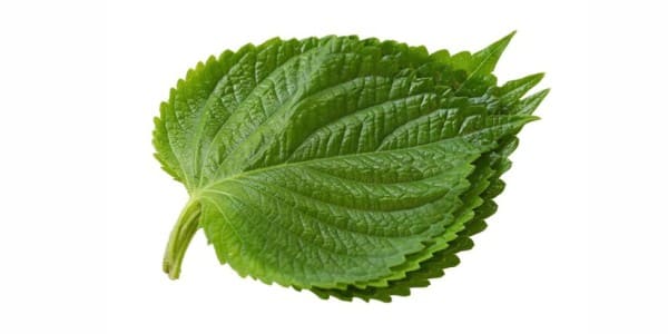 Perillas for dogs and cats