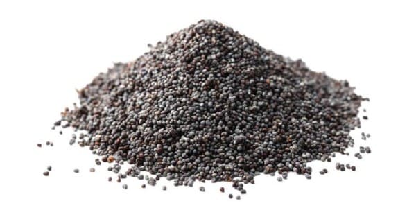 Poppy seeds for dogs and cats