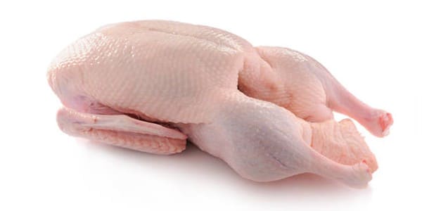 Ducks for dogs and cats