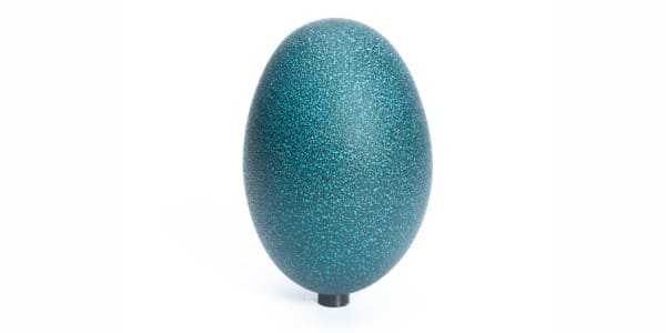 Emus eggs for dogs and cats