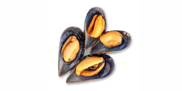 Mussels for dogs and cats