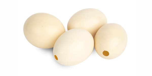 Ostriches eggs for dogs and cats