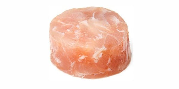 Reptiles for dogs and cats