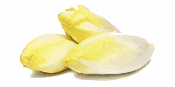 ndives for dogs and cats